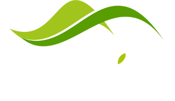 light logo